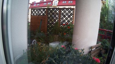 17:50:53