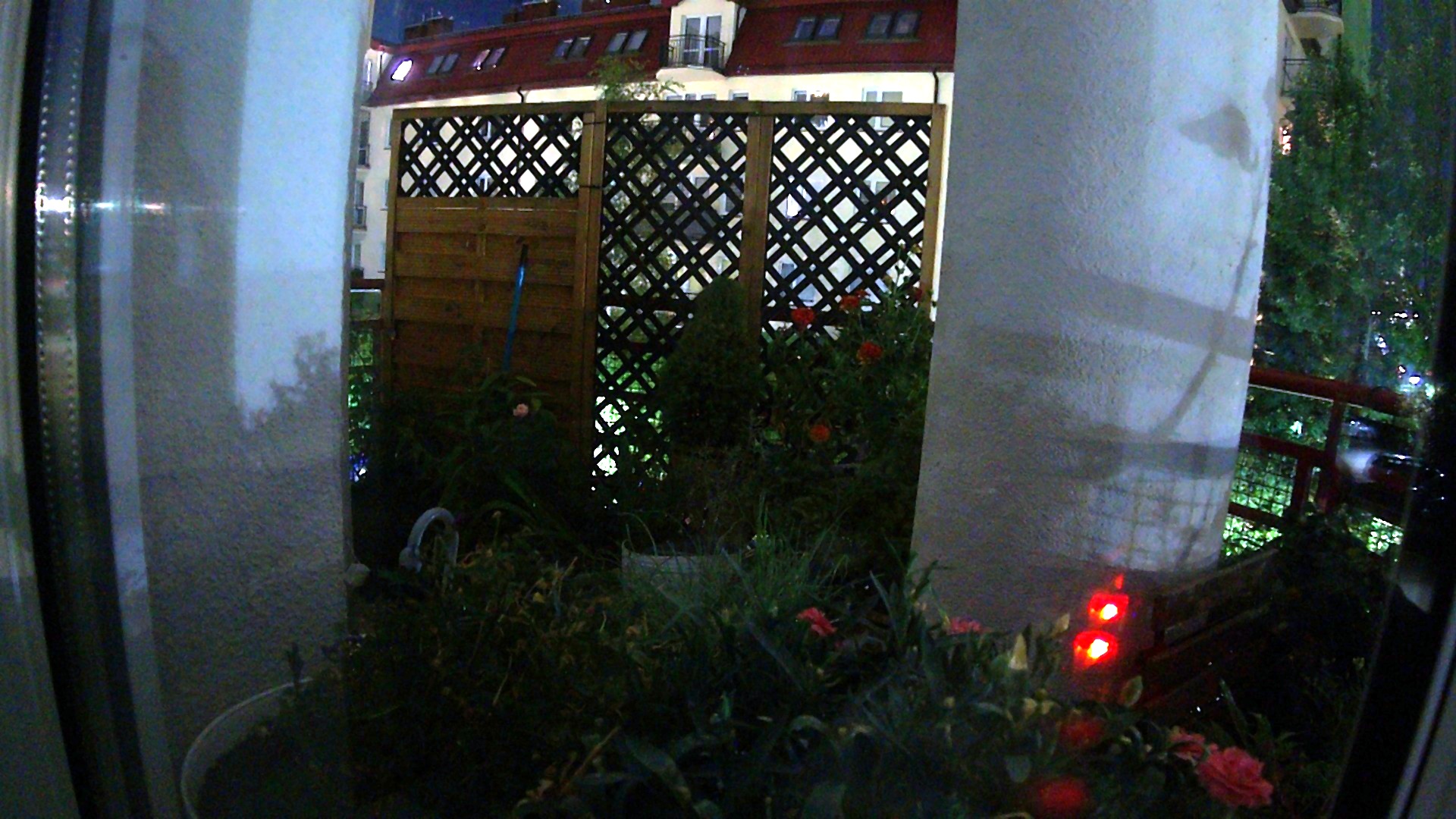 23:50:03